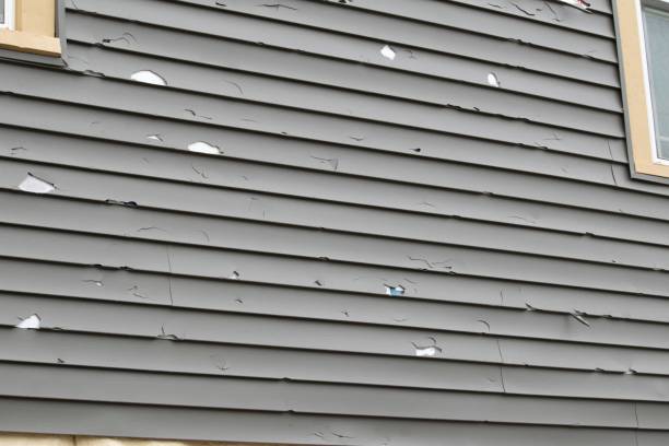 Affordable siding repair and maintenance services in Rosedale, WA